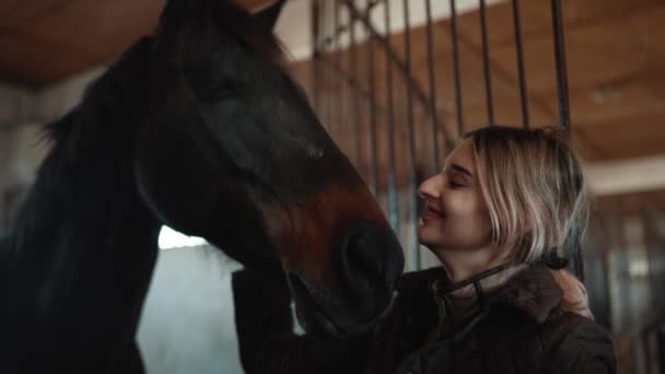 Прекрасна Жінка Вершник Погладжує Коня Стайні — стокове відео