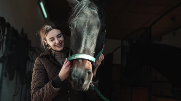 Pembalap Wanita Tersenyum Mengoreksi Harness Kepala Kuda Kandang — Stok Video