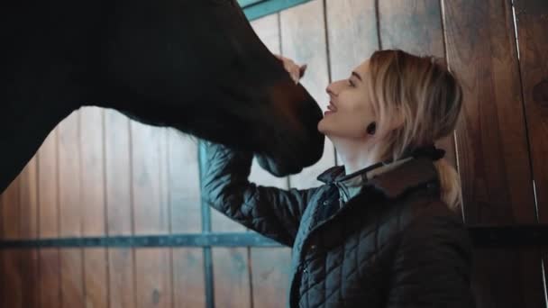 Friendly Kobieta Jeździec Głaskanie Całowanie Konia Stajni — Wideo stockowe