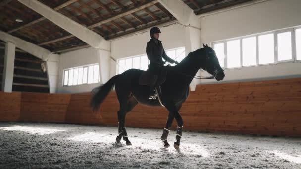 Selbstbewusste Reiterin Mit Helm Reitet Auf Pferd Und Redet Stall — Stockvideo