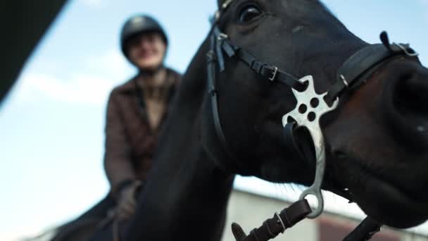 Positivo Donna Cavaliere Indossando Casco Accarezzando Cavallo Nella Stalla All — Video Stock