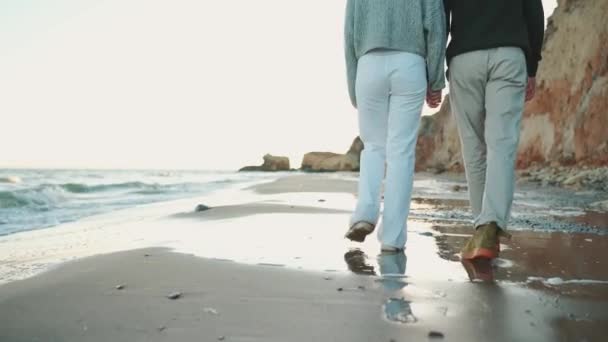 Pohled Zezadu Pár Držící Ruce Kráčející Pláži — Stock video