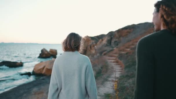 Vue Arrière Couple Heureux Parlant Marchant Sur Une Pente Près — Video