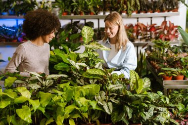 Çok uluslu çiçekçi kızlar çiçekçide saksılarla çalışıyorlar.