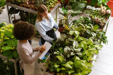 Çok uluslu çiçekçi kızlar çiçekçide saksılarla çalışıyorlar.