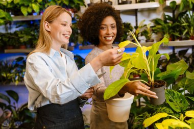 Çok uluslu çiçekçi kızlar çiçekçide saksılarla çalışıyorlar.