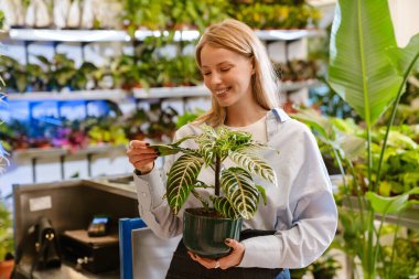Çiçekçide çalışırken elinde saksı saksısı tutan güzel bir kız.
