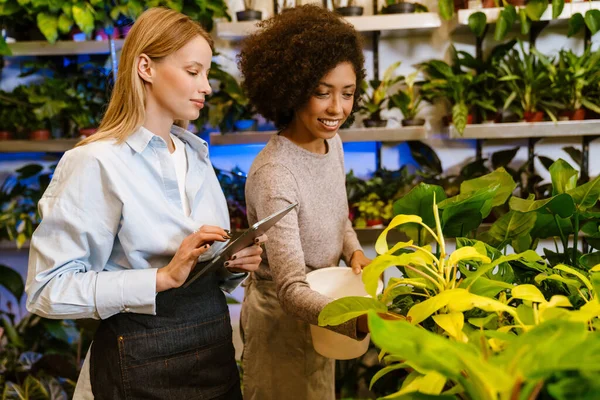 가게에서 식물을 가지고 일하는 다국적젊은 리스트 소녀들 — 스톡 사진
