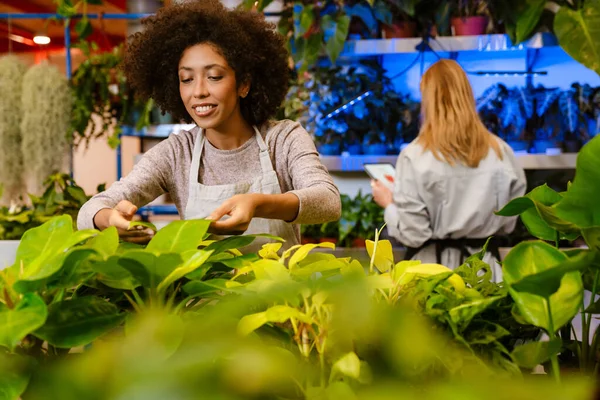 花の店で鉢植えで働く多国籍若い花屋の女の子 — ストック写真