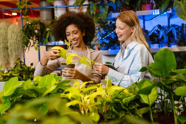 가게에서 식물을 가지고 일하는 다국적젊은 리스트 소녀들 — 스톡 사진