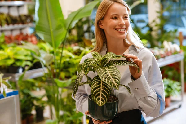 花屋で働いている間 鉢植えを持つ白い美しい若い花屋の女の子 — ストック写真
