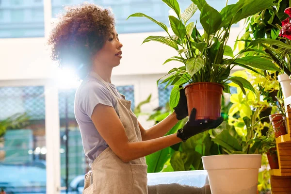 Beautiful Young Florist Girl Holding Potted Plant While Working Flower — Stock Photo, Image