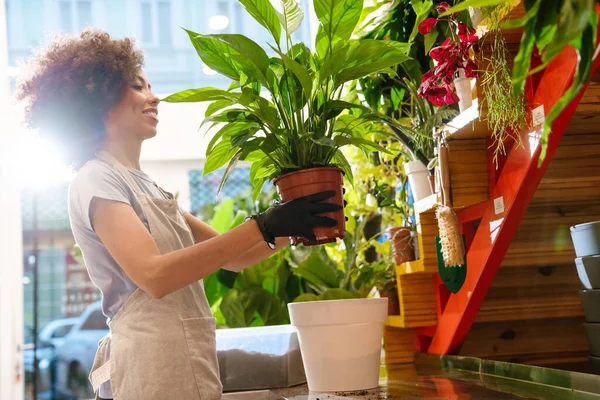 Hermosa Joven Florista Sosteniendo Planta Maceta Mientras Trabaja Tienda Flores — Foto de Stock