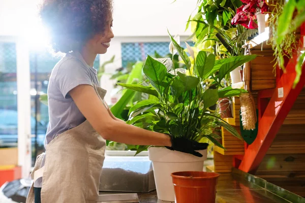 Hermosa Joven Florista Sosteniendo Planta Maceta Mientras Trabaja Tienda Flores — Foto de Stock