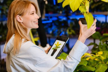 Çiçekçide saksıda çalışırken elinde tablet tutan güzel bir çiçekçi kız.