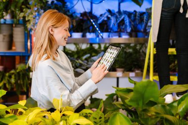 Çiçekçide saksıda çalışırken elinde tablet tutan güzel bir çiçekçi kız.