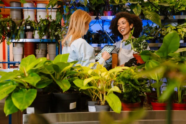 花の店で鉢植えで働く2人の多国籍若い花屋の女の子 — ストック写真