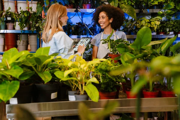 Duas Meninas Floristas Multinacionais Trabalhando Com Plantas Vaso Loja Flores — Fotografia de Stock