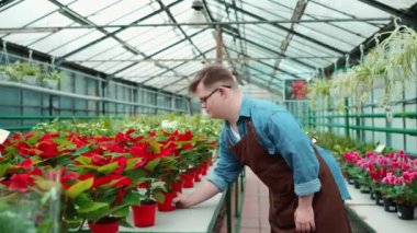 Down sendromlu erkek çiçekçinin seradaki çiçeğe bakışı.