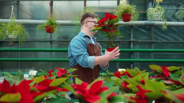 Guapo Florista Masculino Con Síndrome Mirando Flor Invernadero — Vídeos de Stock