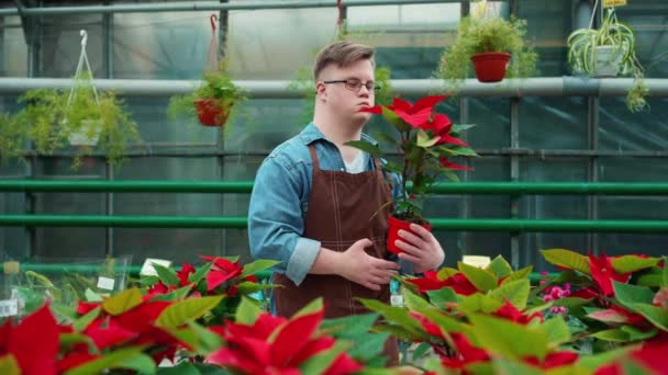 Florista Muito Masculino Com Síndrome Olhando Para Flor Estufa — Vídeo de Stock