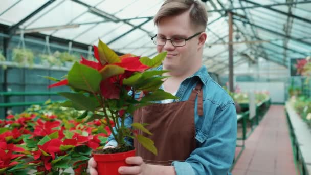 Happy Male Florist Syndrome Looking Flower Greenhouse — Stock Video