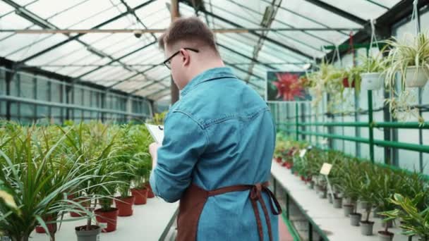 Pensive Male Florist Syndrome Walking Writing Greenhouse — Stock Video