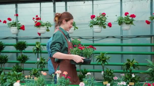 温室里抱着花的阳性女性与男性花商有下垂综合征 — 图库视频影像