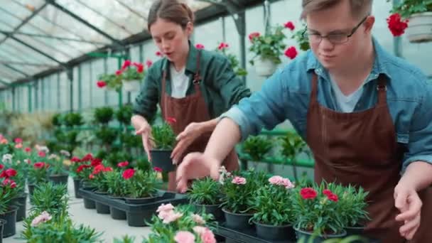 Wanita Serius Meletakkan Bunga Berdiri Dengan Laki Laki Penjual Bunga — Stok Video