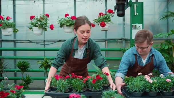 Przyjazna Kobieta Trzyma Kwiaty Męskiej Kwiaciarni Zespołem Downa Szklarni — Wideo stockowe