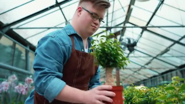Молодой Флорист Синдромом Дауна Смотрит Цветок Оранжерее — стоковое видео