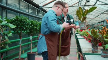 Concentrated woman and male florist with down syndrome watering flowers in the greenhouse