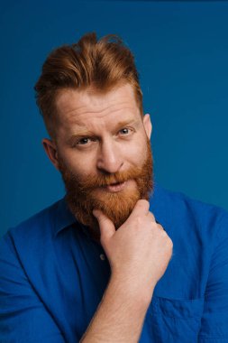 Portrait of adult handsome stylish redhead bearded calm man in blue shirt touching his chin and looking at camera , while standing over isolated blue background