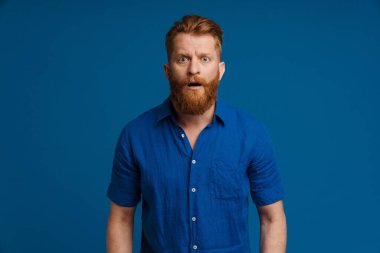 Ginger white man with beard expressing surprise at camera isolated over blue background