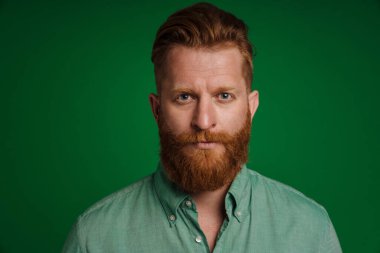 Ginger white man with beard posing and looking at camera isolated over green background