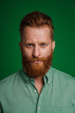 Ginger white man with beard posing and looking at camera isolated over green background