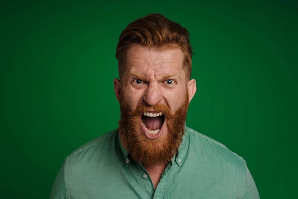 Portrait Adult Handsome Stylish Bearded Shouting Man Green Shirt Looking — Stockfoto