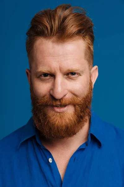 Portrait Adult Handsome Stylish Redhead Bearded Calm Man Blue Shirt — 图库照片