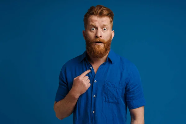 Portrait Adult Handsome Stylish Redhead Bearded Surprised Man Blue Shirt — Stockfoto