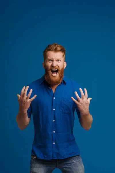 Portrait Adult Handsome Stylish Redhead Bearded Sinister Man Opened Mouth — 图库照片