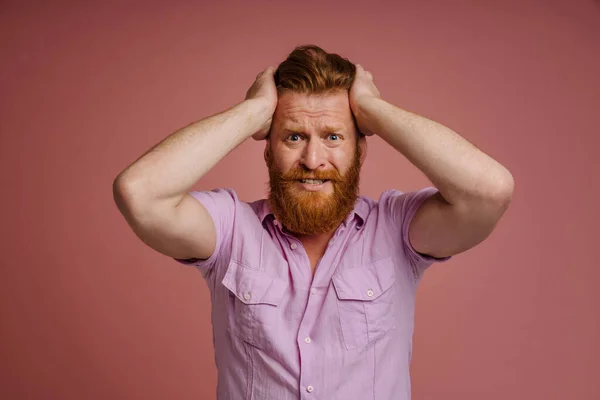 Adult Handsome Stressed Redhead Bearded Man Pink Shirt Holding Head — стоковое фото