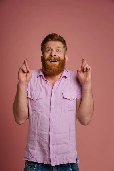 Ginger white man with beard holding fingers crossed for best luck isolated over pink background