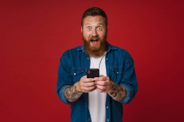 Yetişkin kızıl saçlı, sakallı, hevesli, elinde telefon tutan ve kameraya bakan adam, izole edilmiş kırmızı arka planda duruyor.