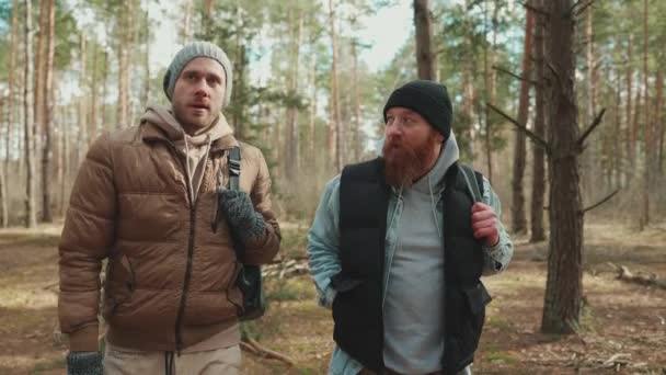Zwei Lächelnde Wanderfreunde Unterhalten Sich Und Spazieren Durch Den Wald — Stockvideo