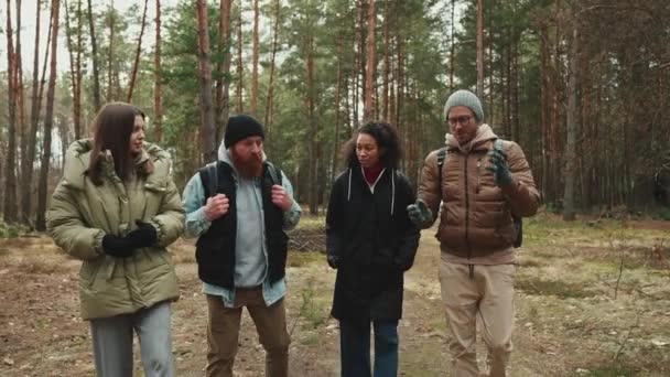 Selbstbewusste Multinationale Touristenfreunde Unterhalten Sich Beim Waldspaziergang — Stockvideo