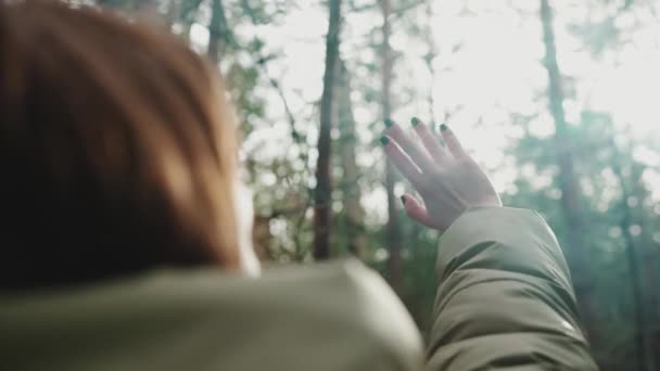 Dişi Bir Yürüyüşçü Elini Ormanda Güneşle Kaplar — Stok video