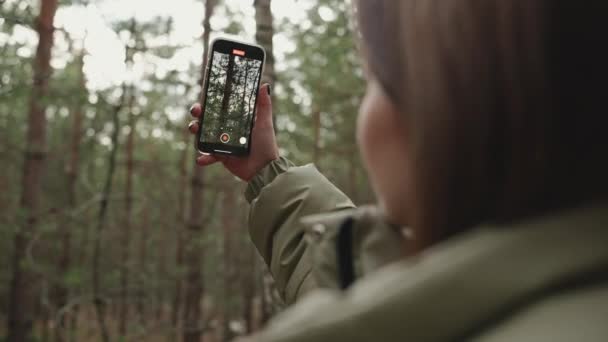 Kadın Yürüyüşçünün Arka Plan Görüntüsü Ormandaki Ağaçların Videosunu Kaydediyor — Stok video