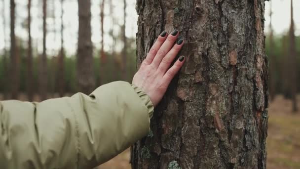 Frau Überfährt Baumstange Wald Mit Der Hand — Stockvideo
