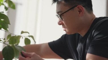 Gözlüklü yakışıklı Asyalı evde yaprakları kontrol ediyor.
