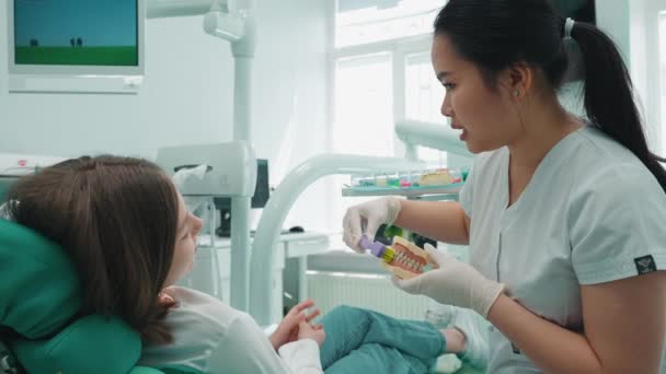 Schöne Asiatische Zahnärztin Zeigt Patienten Wie Man Zähne Krankenhaus Richtig — Stockvideo